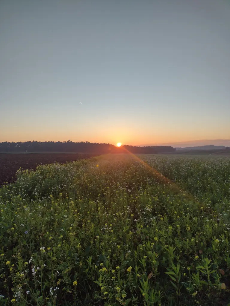 Condolence image of Corinna ❤️