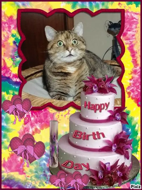 Condolence image of Tanja mit Timmy im Herzen 