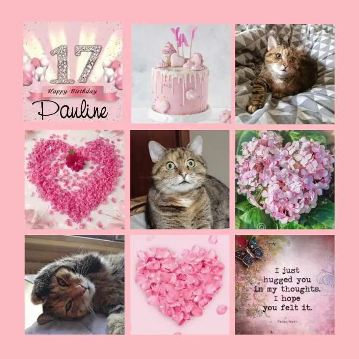 Condolence image of Geburtstagsrosen für Pauline 