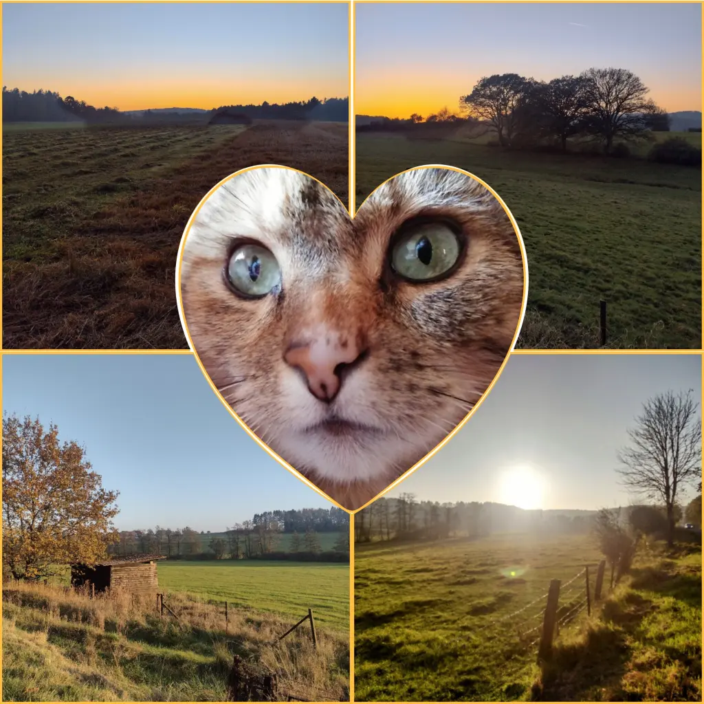 Condolence image of Corinna ❤️