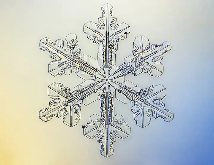 Condolence image of Corinna mit Emma, Vinni-Ved, Jengi, Blacky,Pummelchen und anderen Sternleine im Herzen