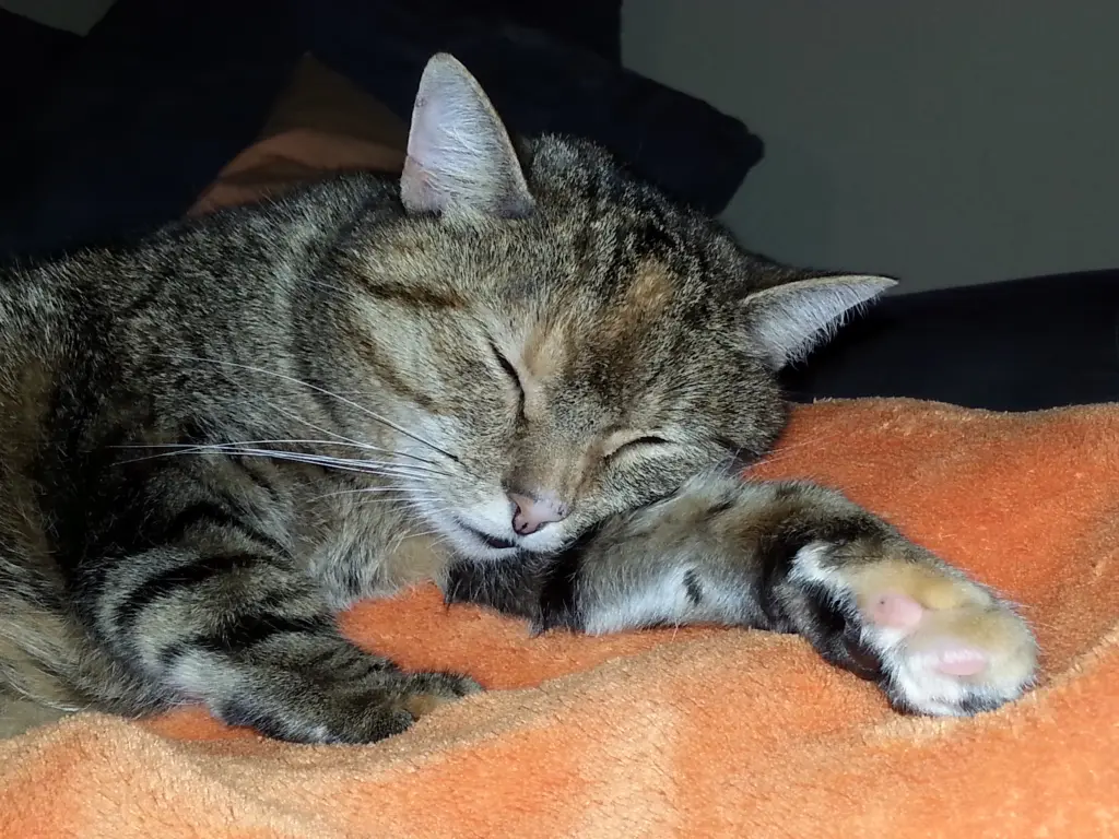 Condolence image of Liebe ❤️, nichts als Liebe ❤️