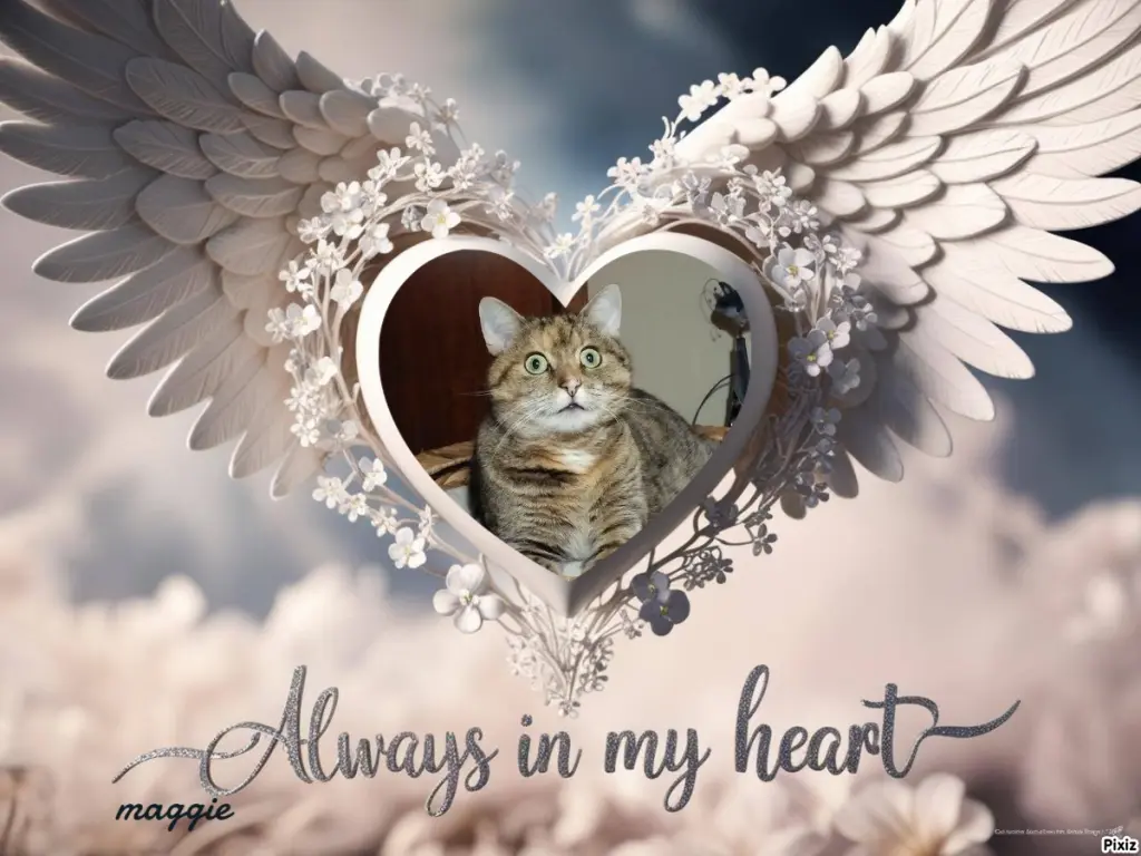 Condolence image of Tanja mit Timmy im Herzen 