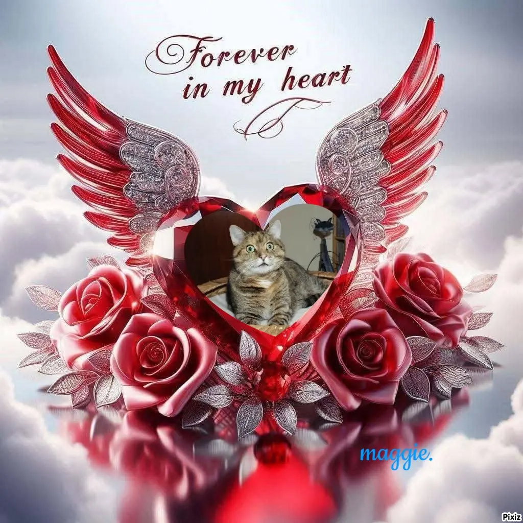 Condolence image of Tanja mit Timmy im Herzen 