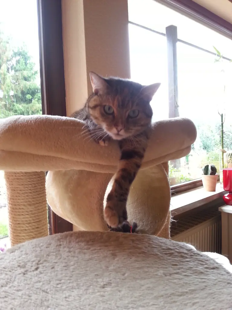 Condolence image of Und überall sind da Spuren deines Lebens ❤️