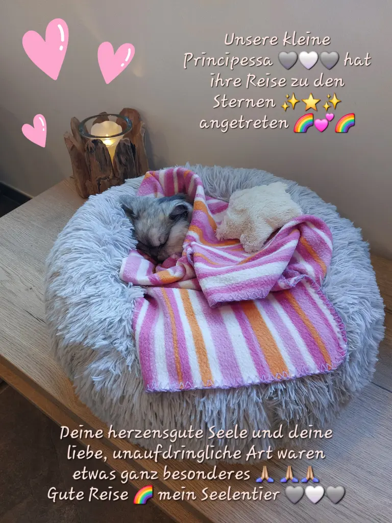 Condolence image of Leonie ist zu dir gekommen und mir bleiben nur bittere Tränen