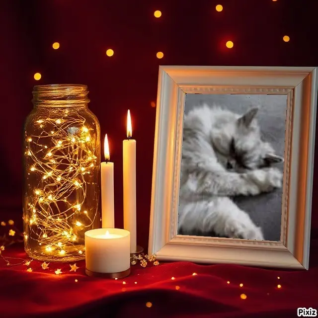 Condolence image of Sternchenpost ⭐