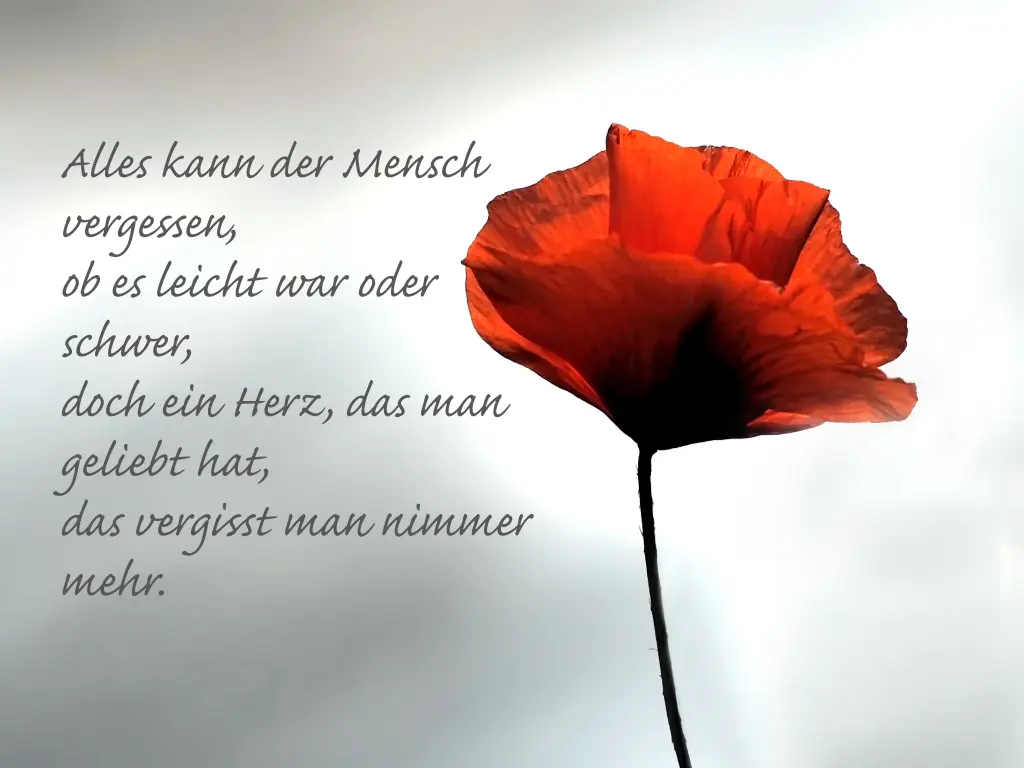 Condolence image of Für Leonie ❤️ 