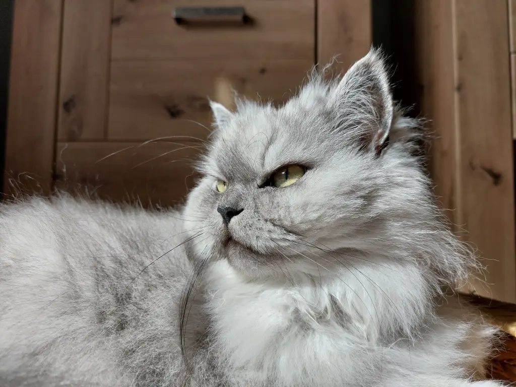 Condolence image of Unbekannt