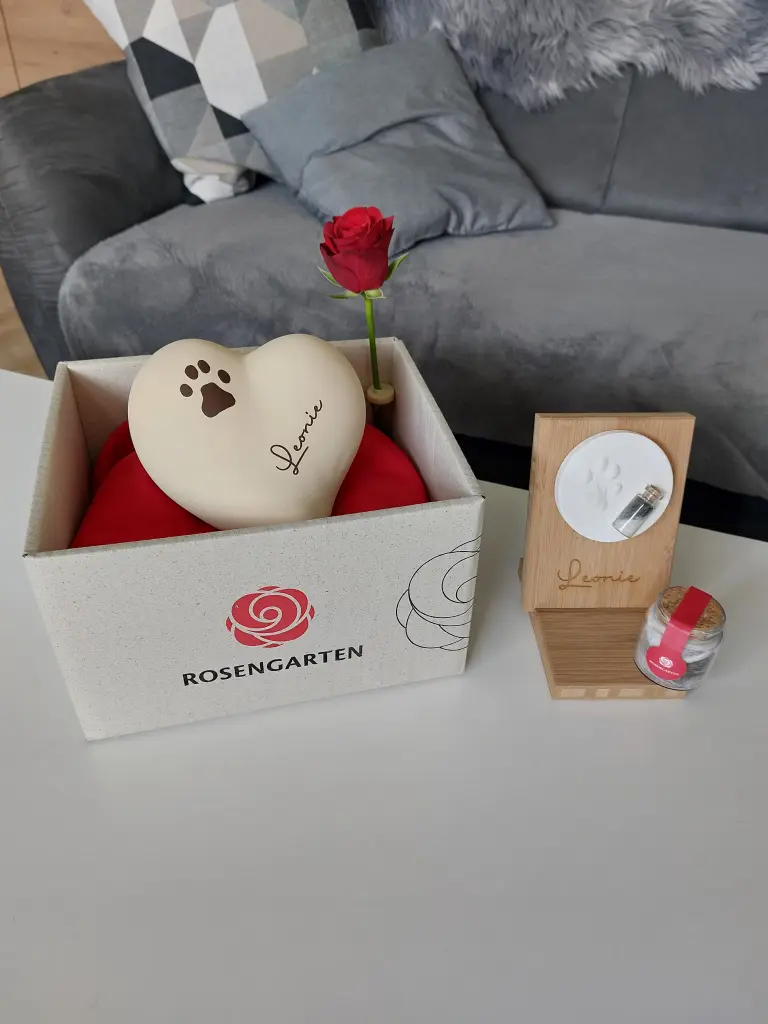 Condolence image of Leo Lausemaus ist endlich wieder zuhause ❤️❤️❤️