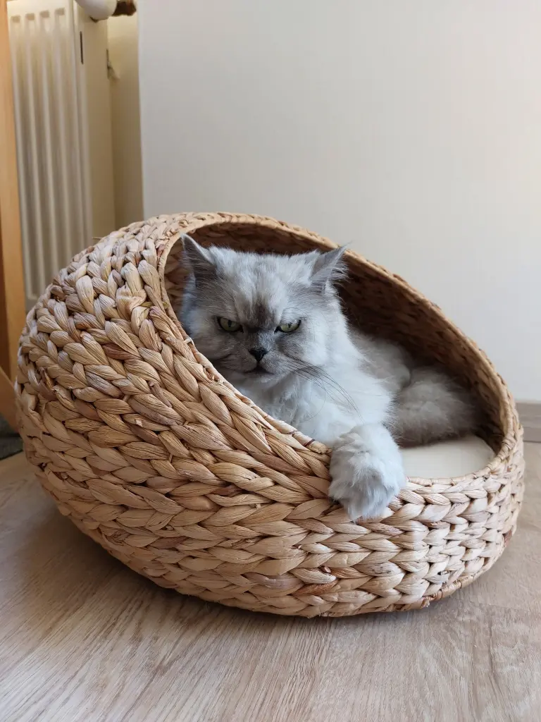 Condolence image of Für Leonie ❤️ 1 Monat ohne dich