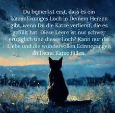 Condolence image of für Daniela ♥