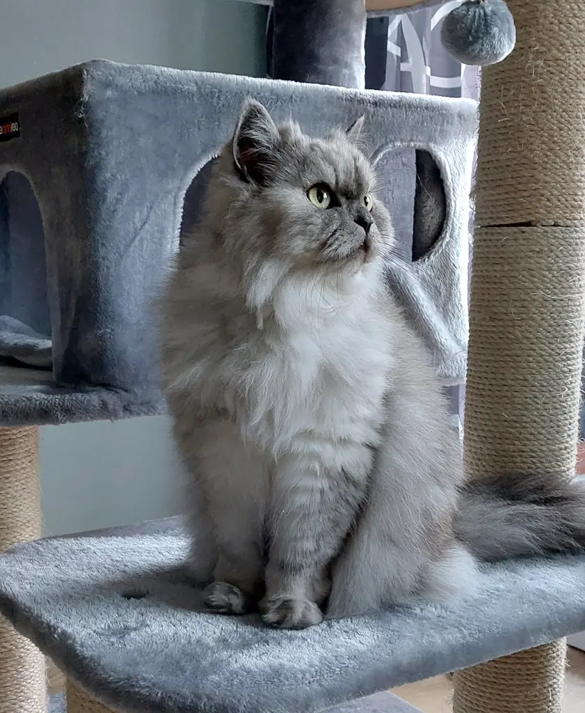 Condolence image of Ich liebe euch über alles ❤️