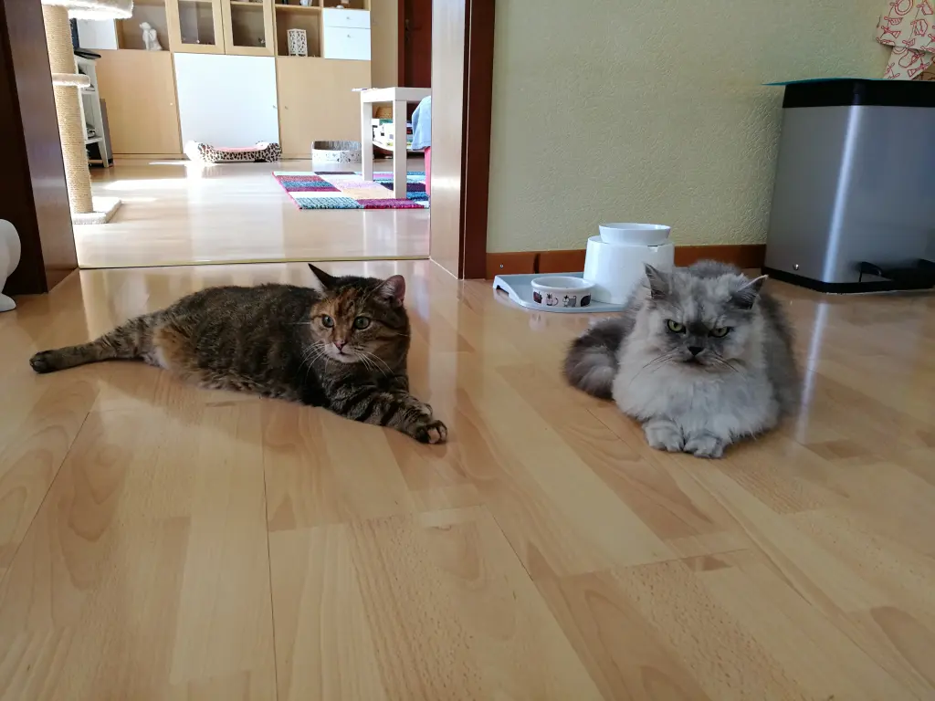 Condolence image of So lange schon mein Engelchen..... ❤️