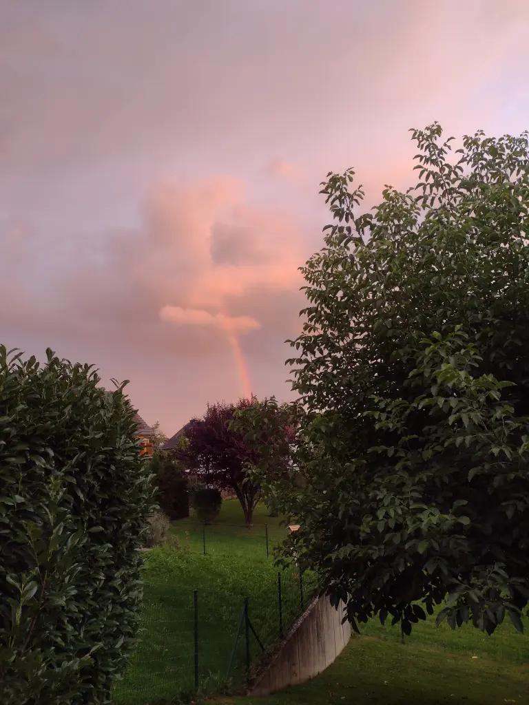 Condolence image of Corinna ❤️