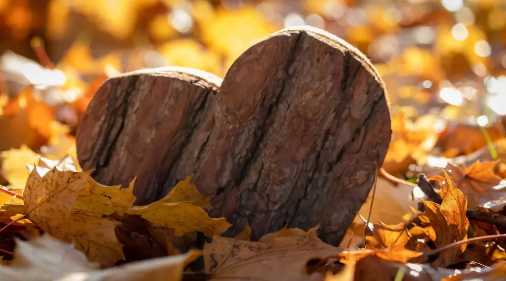 Condolence image of Für Leonie ❤️ und Daniela