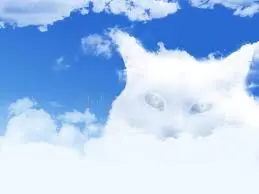 Condolence image of an das kleine Sternchen Leonie ♥