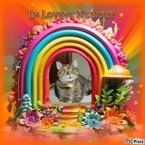 Condolence image of Tanja mit Timmy im ❤