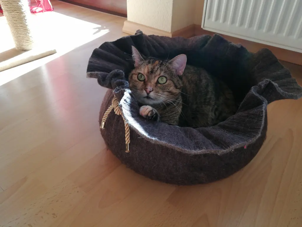 Condolence image of Für mein Paulinchen ❤️