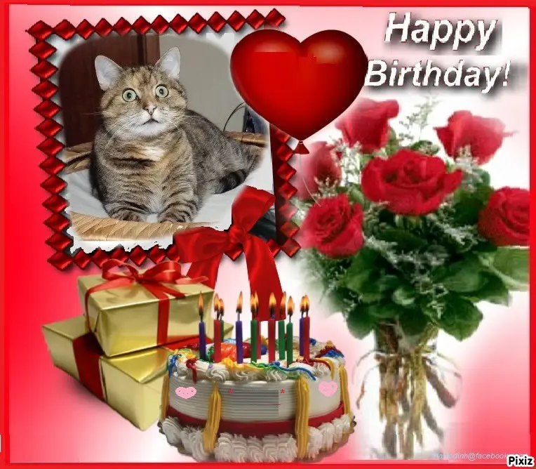 Condolence image of Tanja mit Timmy im 💘