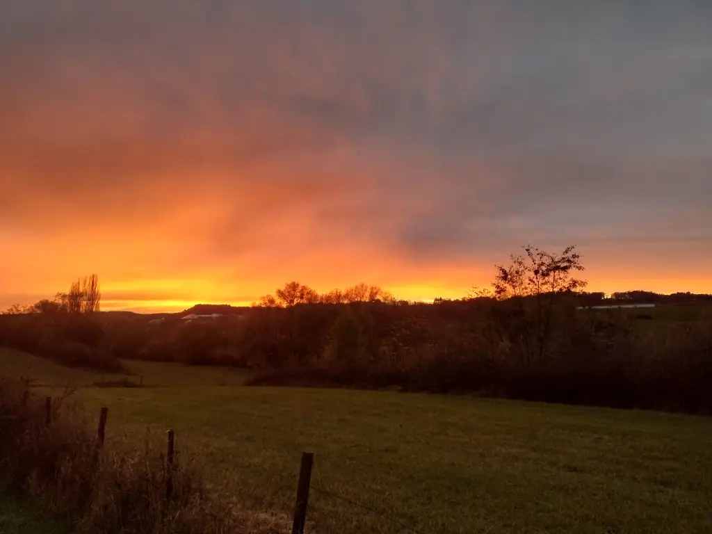 Condolence image of Corinna ❤️