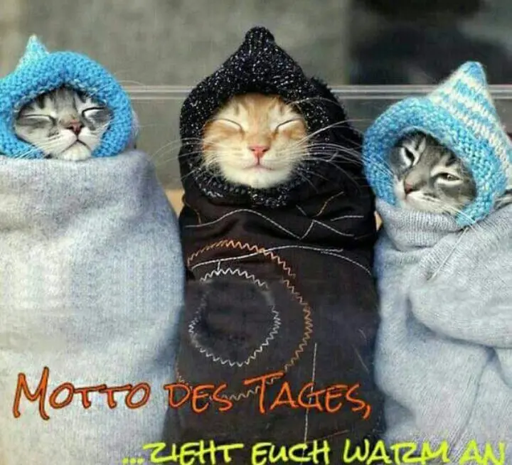 Condolence image of Corinna ❤️