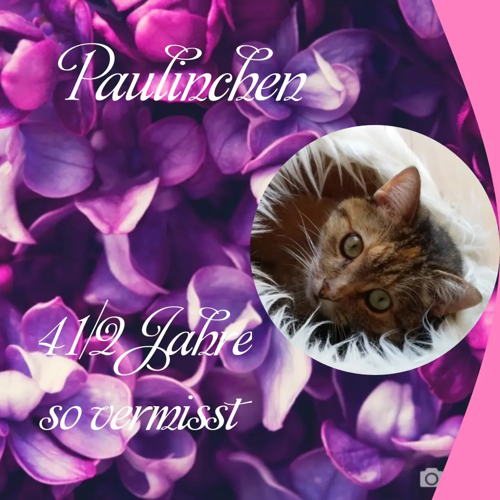 Condolence image of Corinna 💜