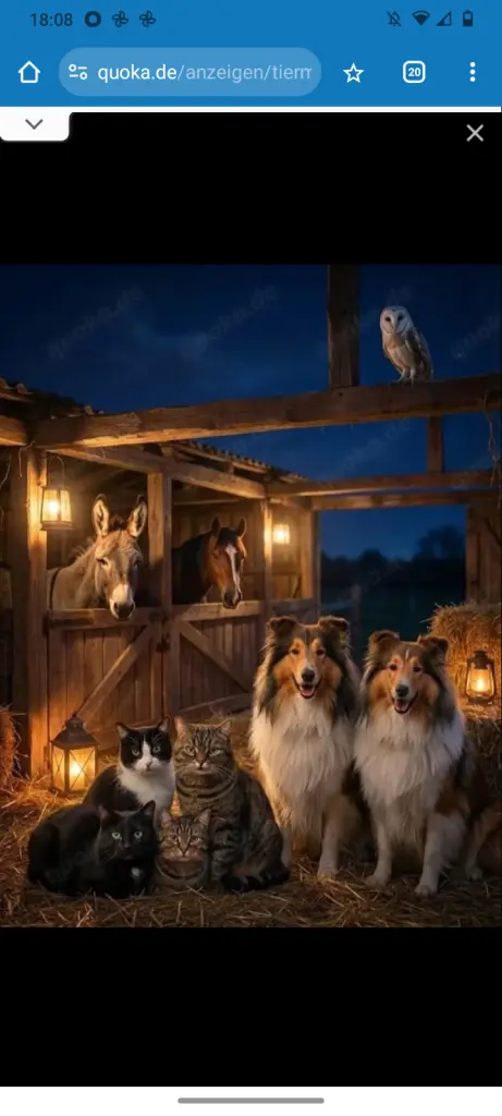 Condolence image of Corinna ❤️