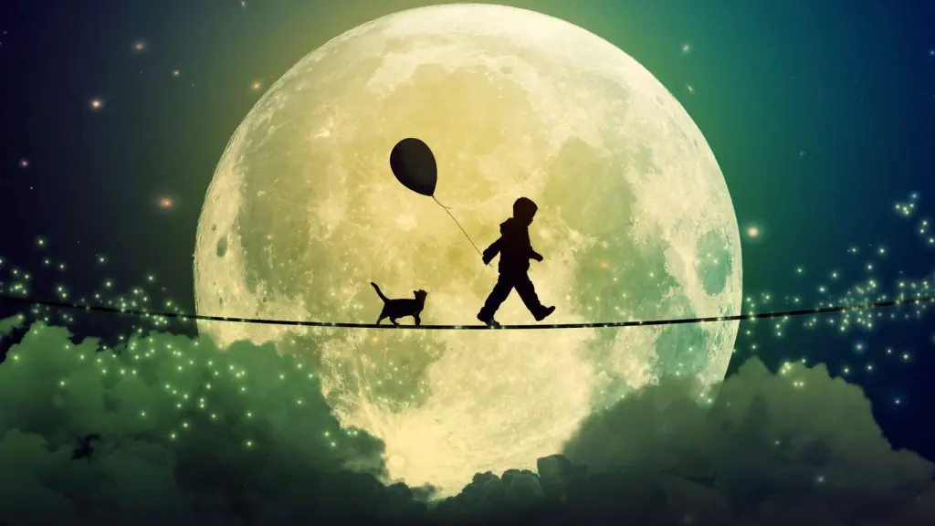 Condolence image of Für Paulinchen ❤️