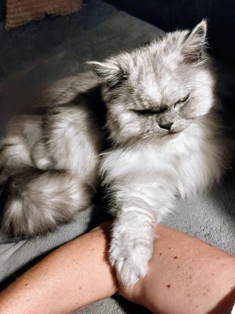 Condolence image of Du fehlst so sehr......