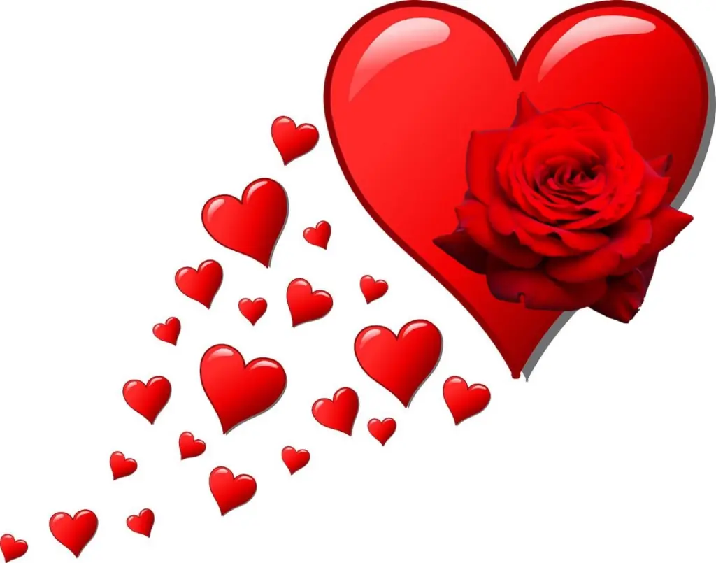 Condolence image of Für Paulinchen ❤️