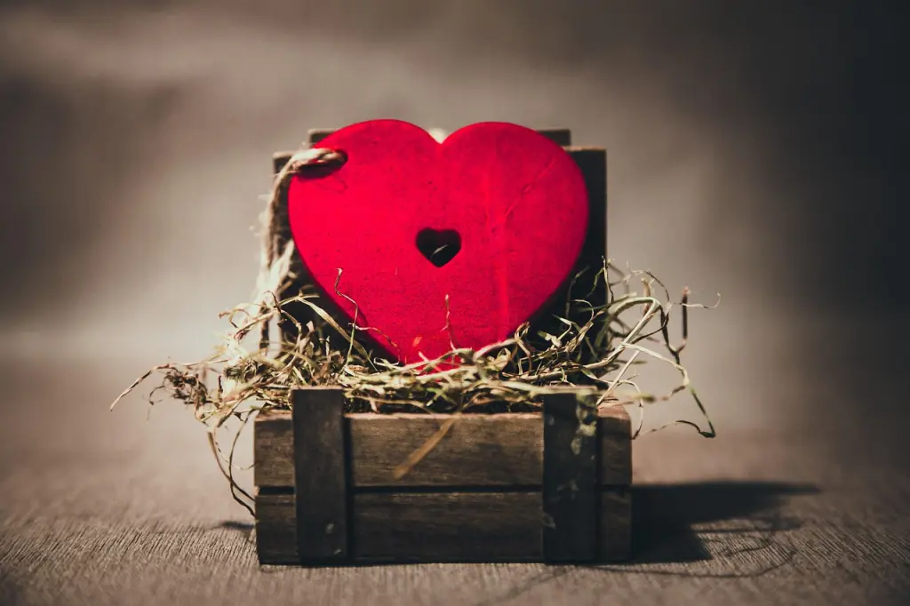 Condolence image of Für Leo-Lausemäuschen ❤️