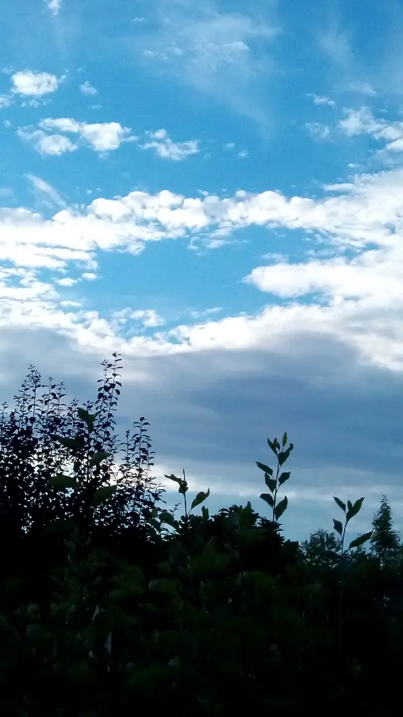 Condolence image of für Pauline ♥