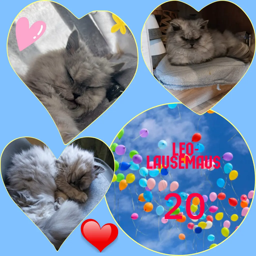 Condolence image of Corinna ❤️