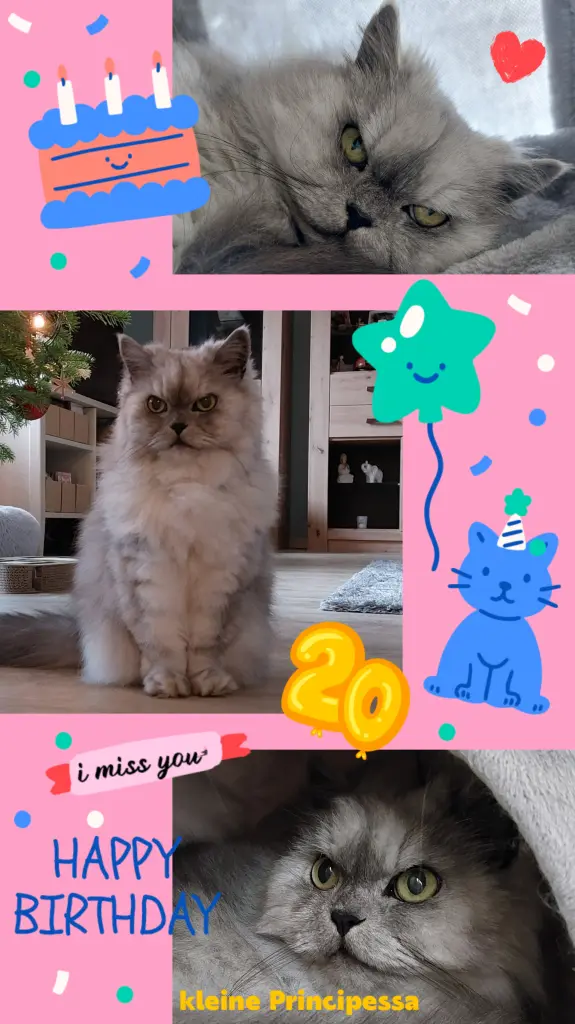 Condolence image of Happy Birthday 🎂 kleines Leo-Lausemäuschen 💕