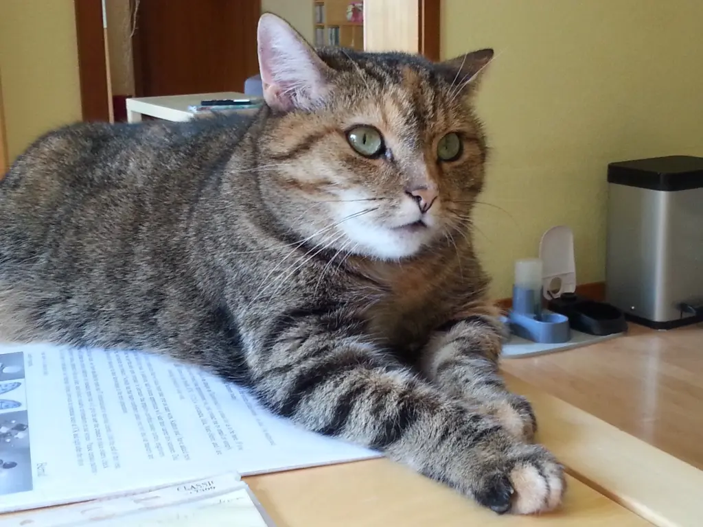 Condolence image of Für dich Paulinchen 🌸🌼🌸🌼🌸