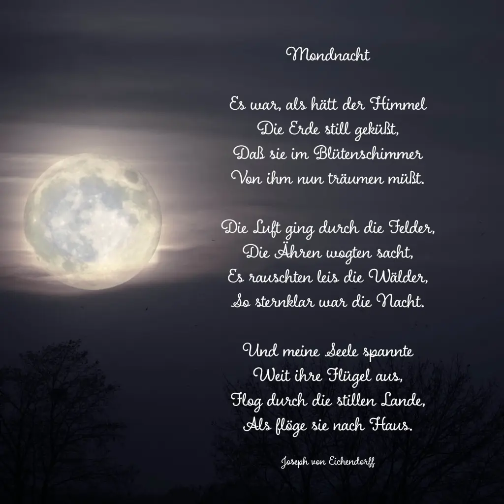 Condolence image of Für Leonie-Maus ❤️