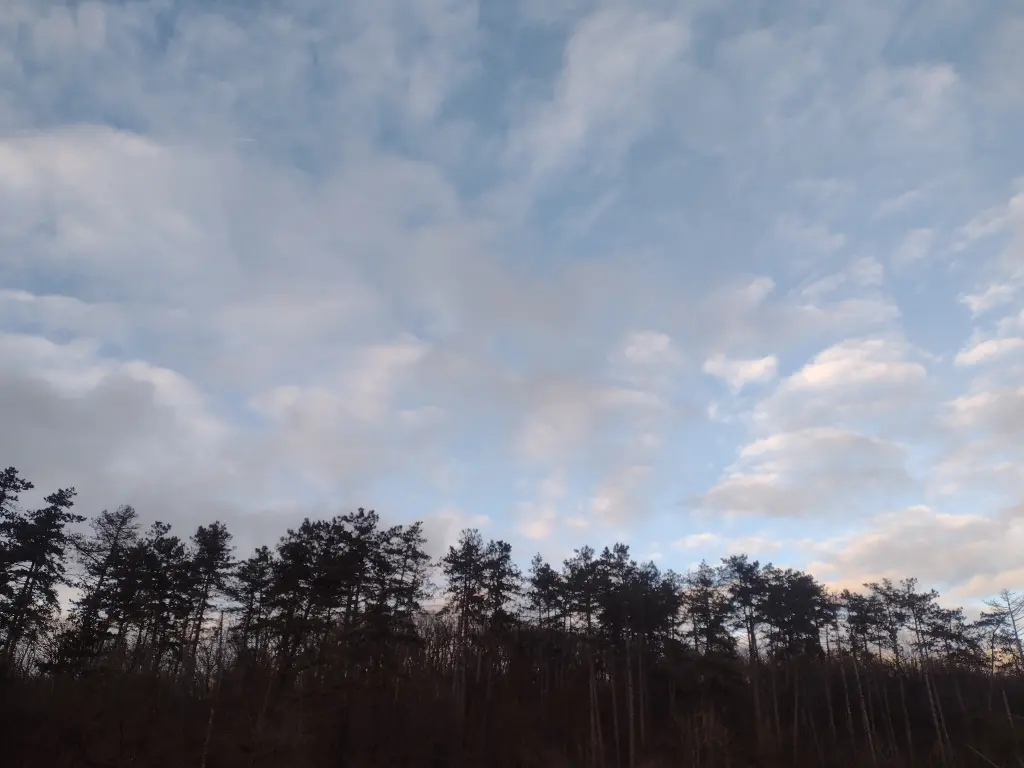 Condolence image of Corinna ❤️