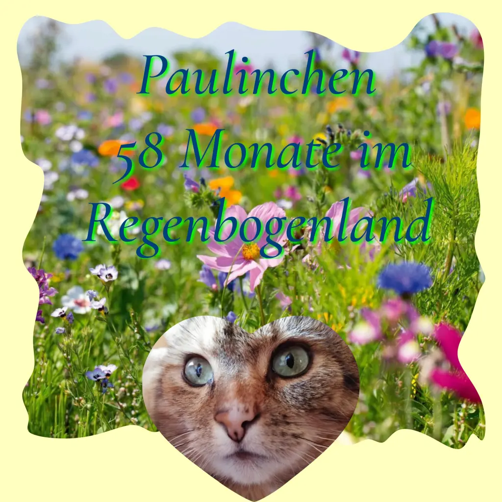 Condolence image of Corinna ❤️