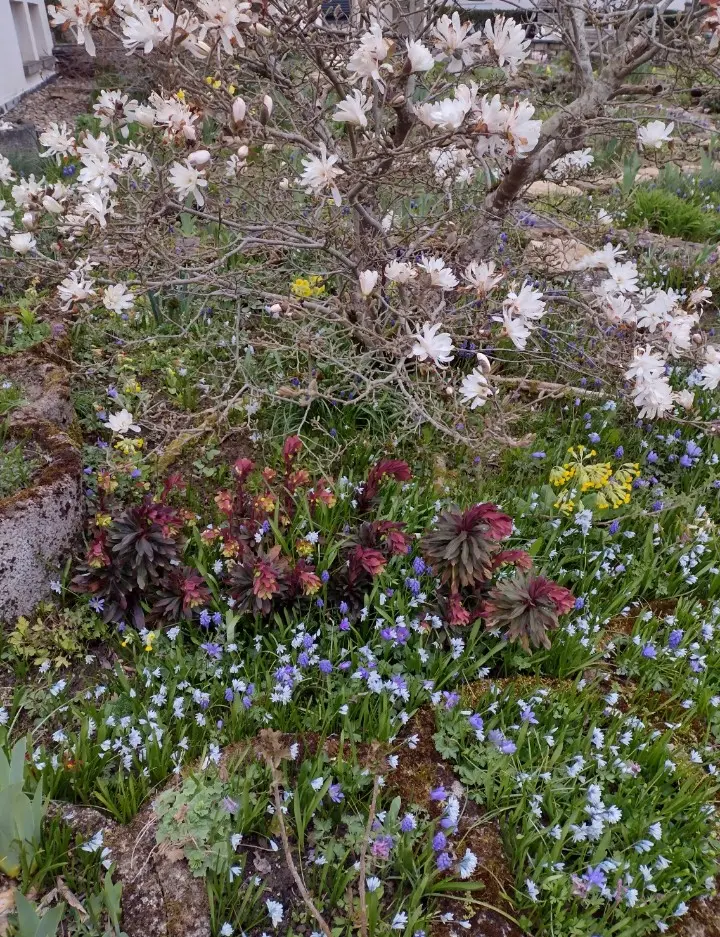 Condolence image of Corinna ❤️