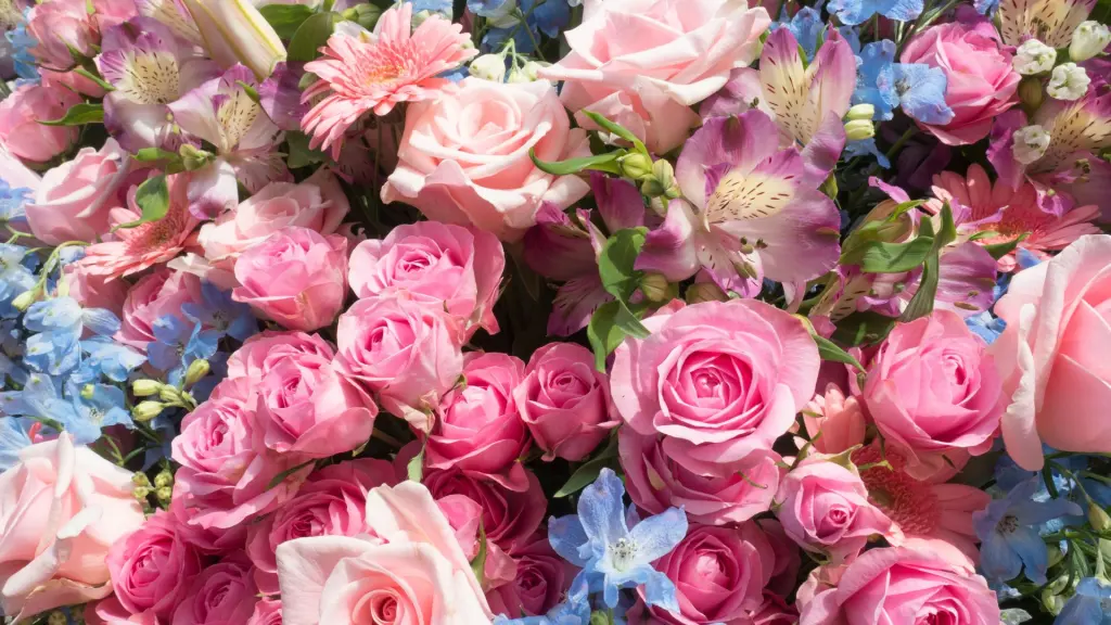 Condolence image of 🌸 Für Leonie 🌸