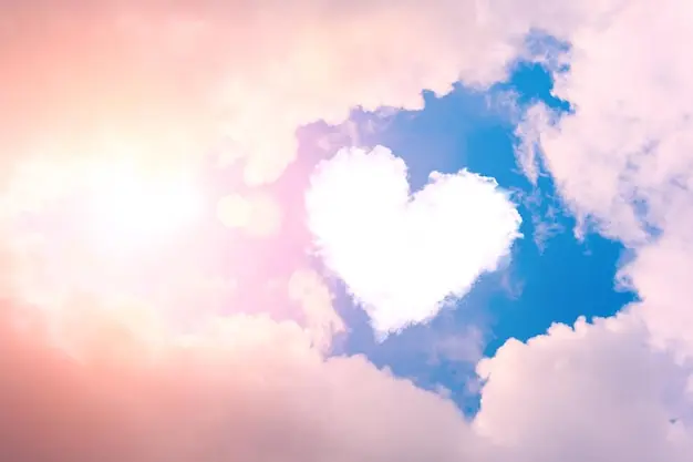 Condolence image of 🌸 Für Paulinchen 🌸