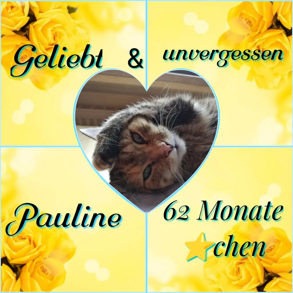 Condolence image of Corinna ❤️
