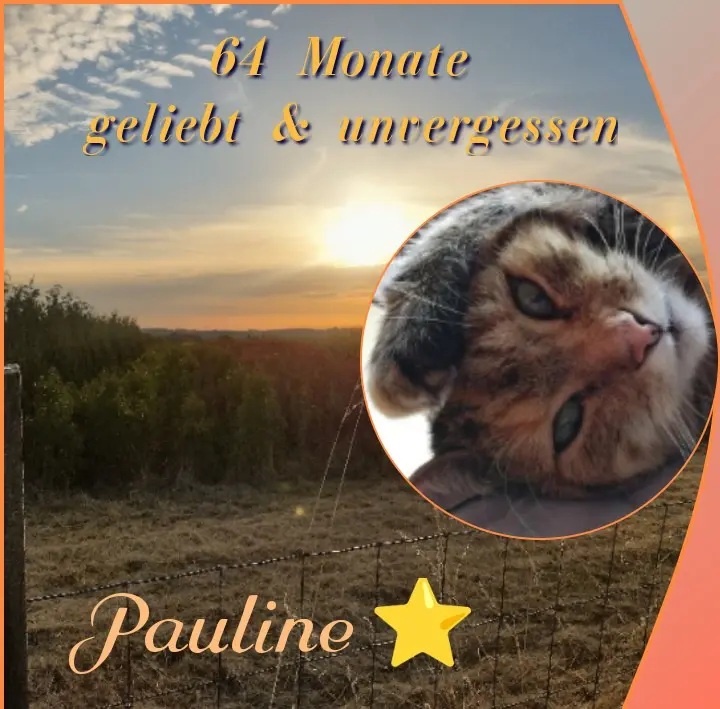 Condolence image of Corinna 🧡