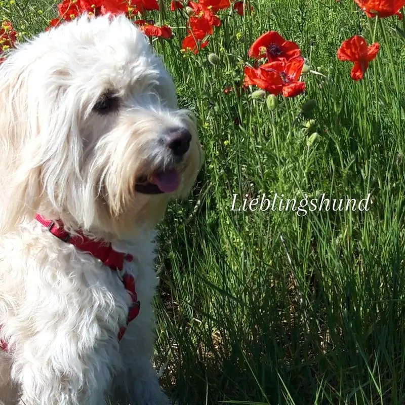 Condolence image of Claudia