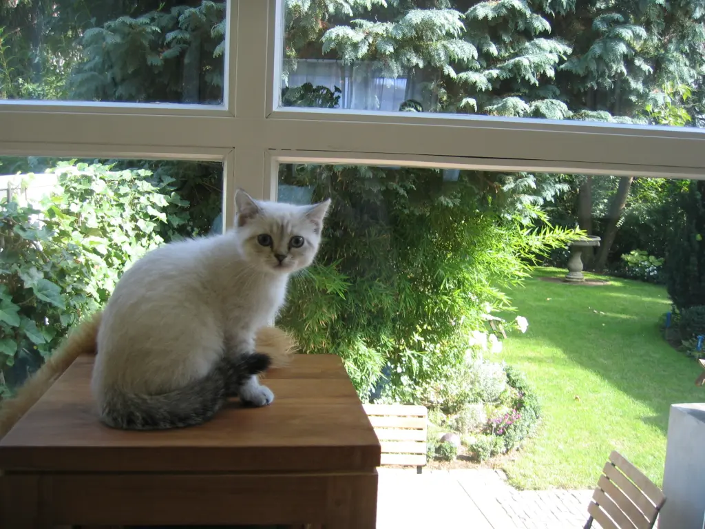 Condolence image of Reni