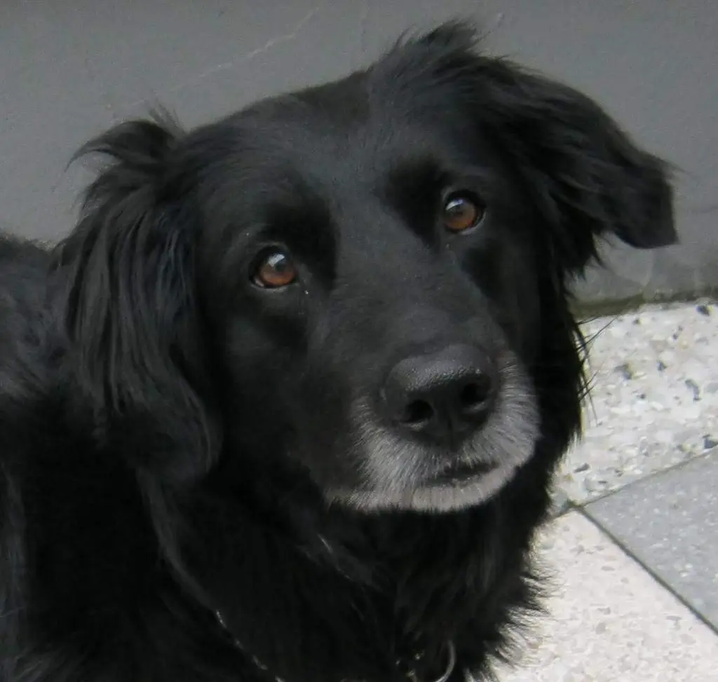 Condolence image of Heidi Lüthje