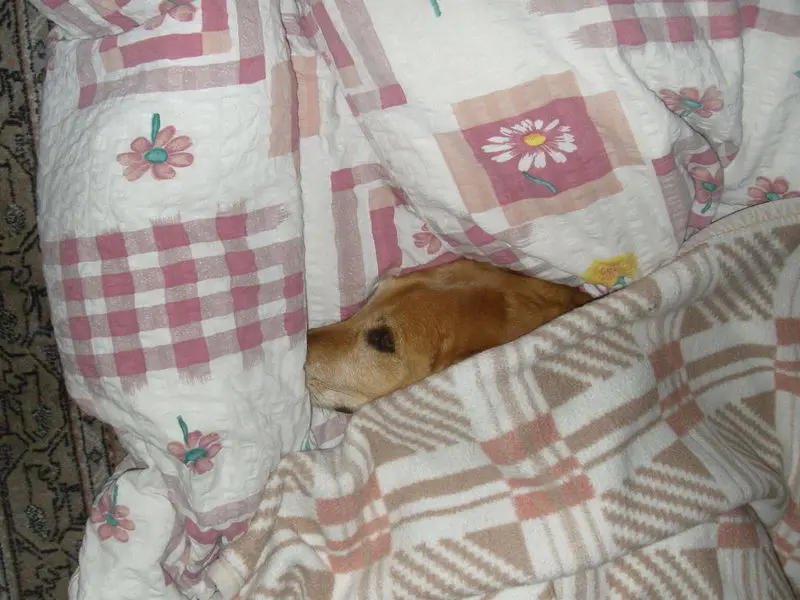 Andachtsbild von Karin und Benni, gest. 24.03.2021