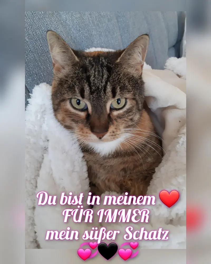 Andachtsbild von Elke & Punka