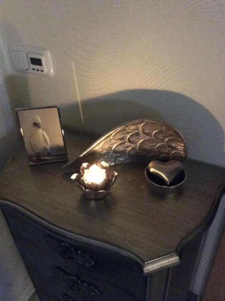 Condolence image of Andrea